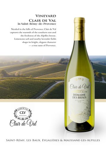 weisswein-flasche-weinberg-cgi-rendering